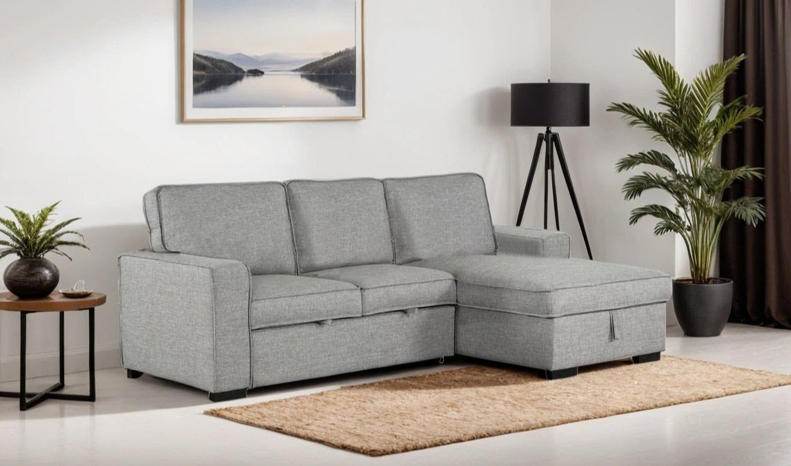 SLEEPER SECTIONAL